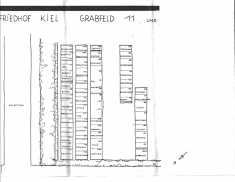 ������������� ����: plet3.jpg