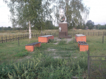  : getImage (1).jpg