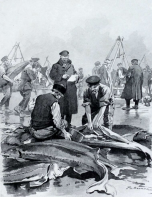  : . 1913 . ..jpg