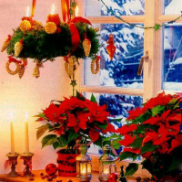 ������������� ����: ������ ����� ��� ������.jpg