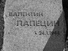 ������������� ����: SS-2.jpg