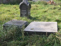  :  -  2007 008-1.jpg