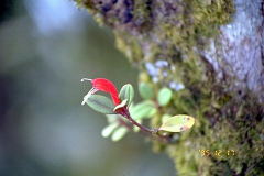 ������������� ����: 55.jpg