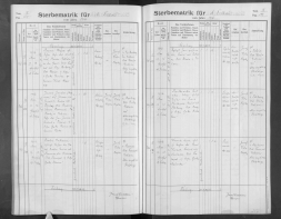  : CZEC0004D_Matriky-Church-books-Svitavy-M11-7437-1907-1920_00262.jpg