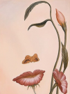  : liliana.jpg