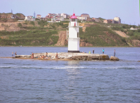  : IMGP8354.JPG