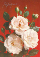  : 1990   8 .jpg