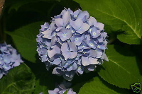  :   !BZkJbz!BGk~$(KGrHgoH-DgEjlLl0b,6BKnV2)(he!~~_1.jpg