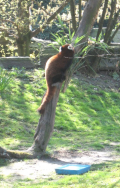  : IMG_0836.JPG