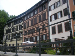 ������������� ����: P8310033.JPG