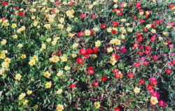 ������������� ����: ����� �����.jpg