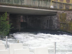 ������������� ����: P8310051.JPG