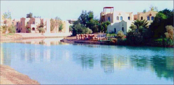 ������������� ����: ������.jpg