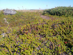 ������������� ����: ���-13.jpg