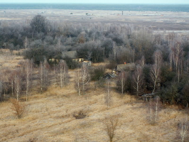 ������������� ����: Pict0027.jpg