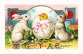 file.php?a=preview&fid=174324&key=272609