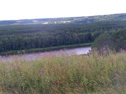 ������������� ����: PICT5075.jpg