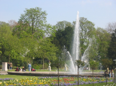  : IMG_0062.JPG