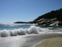 ������������� ����: P1010095[1].JPG