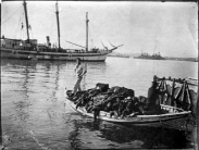 6-Ostrvo-Vido.jpg, 65407 