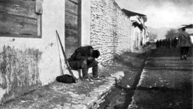 6-Ostrvo-Vido8.jpg, 69673 