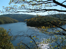 ������������� ����: PICT0049.JPG