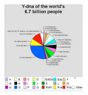  : 11133795_694653137327557_7410560518774020607_n.jpg