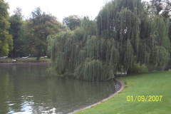 ������������� ����: 100_1175.JPG