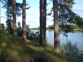 ������������� ����: ���-1.jpg