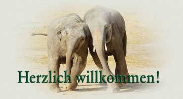 ������������� ����: bg_home_startseite_06.jpg