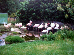 ������������� ����: P1110206.JPG