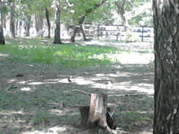IMG734.jpg, 215097 