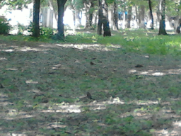 IMG735.jpg, 329585 