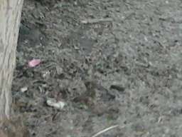 IMG742.jpg, 327862 