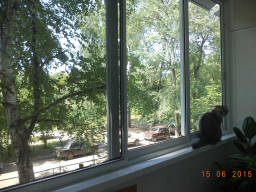  : DSC02592.jpg