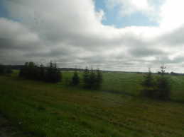  : DSCN0971.JPG