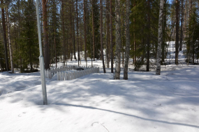  : image01.jpg