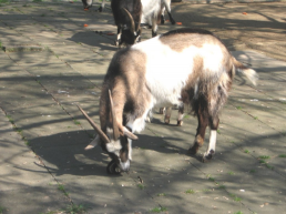 ������������� ����: IMG_0846.JPG