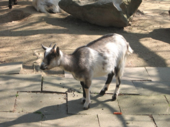  : IMG_0850.JPG