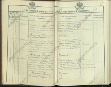  : 19-127-1533-17_brasilian.jpg