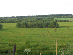  : DSCN2520.JPG