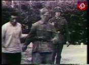  : imgmat_350_veteran3480.jpg