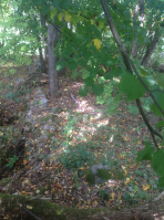 ������������� ����: IMG_1367.JPG