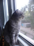 DSC02612_.jpg, 44804 