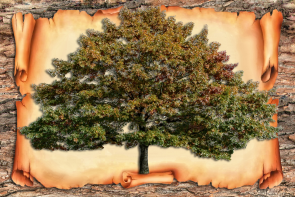    Photoshop 2008.jpg, 6333014 