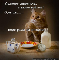  : .jpg