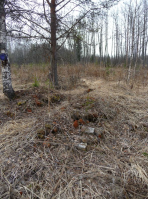 ������������� ����: 3AT2S2ZH ������� ���������� �������� �������.jpg