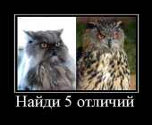  : 8.jpg