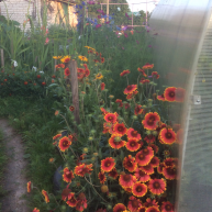  : 2015-07-18 19.56.52.jpg