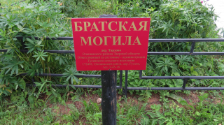  : TM_LU--oHhM.jpg